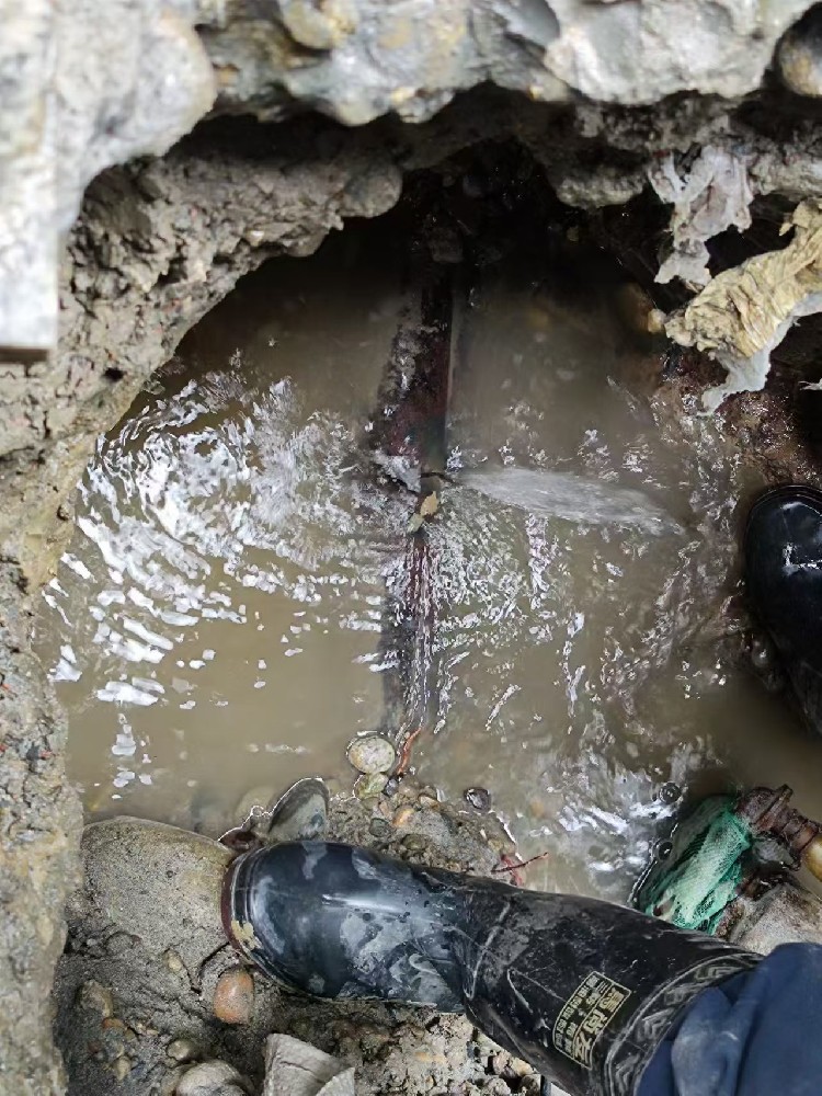 鹤岗本地绿化水管漏水检测维修